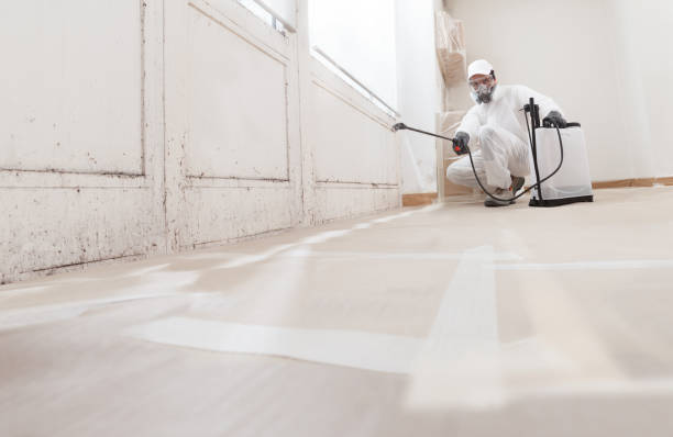 24/7 Emergency Black Mold Remediation experts in Smithfield, VA
