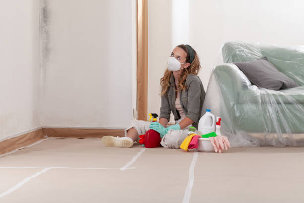 Reliable Black Mold Remediation contractor in Smithfield, VA by 24 Hour Mold Removal